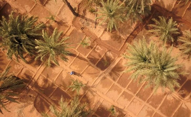 Des Trains Pas Comme Les Autres Mauritanie Halte en Mauritanie pour « Des trains pas comme les autres » | France